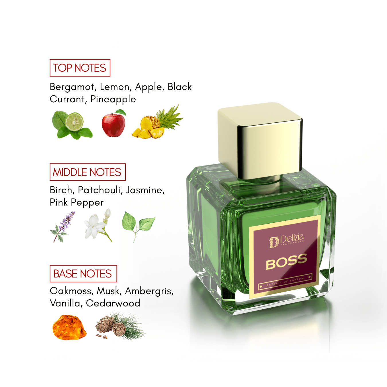 BOSS - Delizia Fragrances