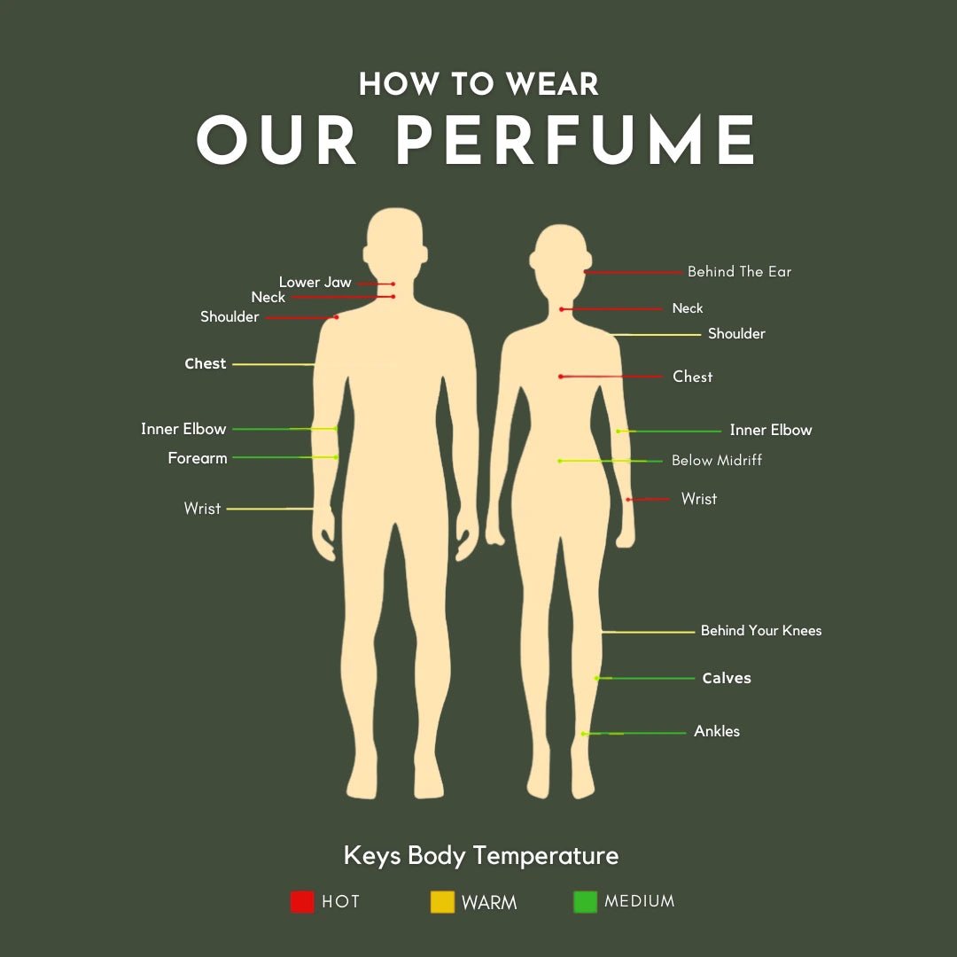 D'WILD - Delizia Fragrances